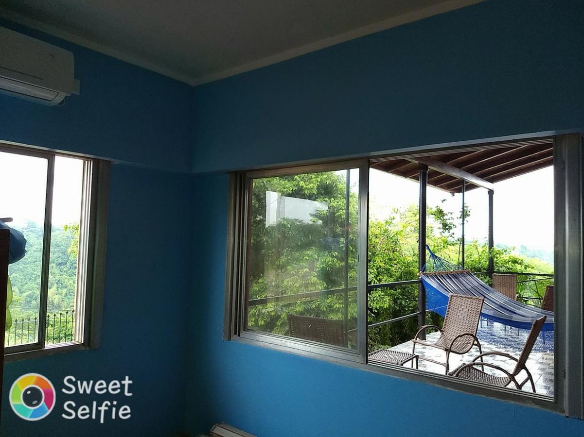 Butterfly Hostel Пуерто-Іґуасу Екстер'єр фото