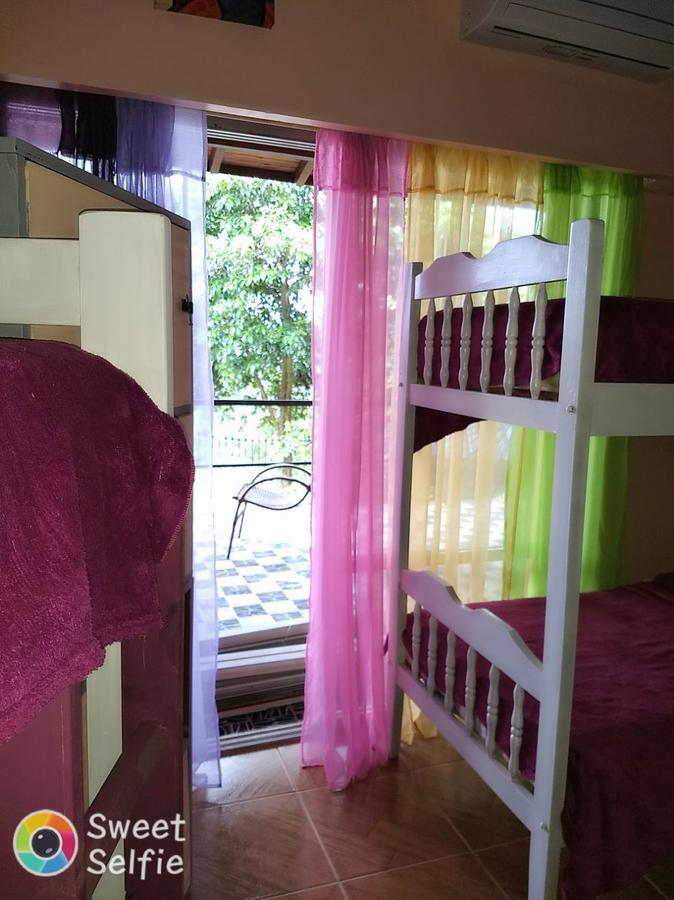 Butterfly Hostel Пуерто-Іґуасу Екстер'єр фото