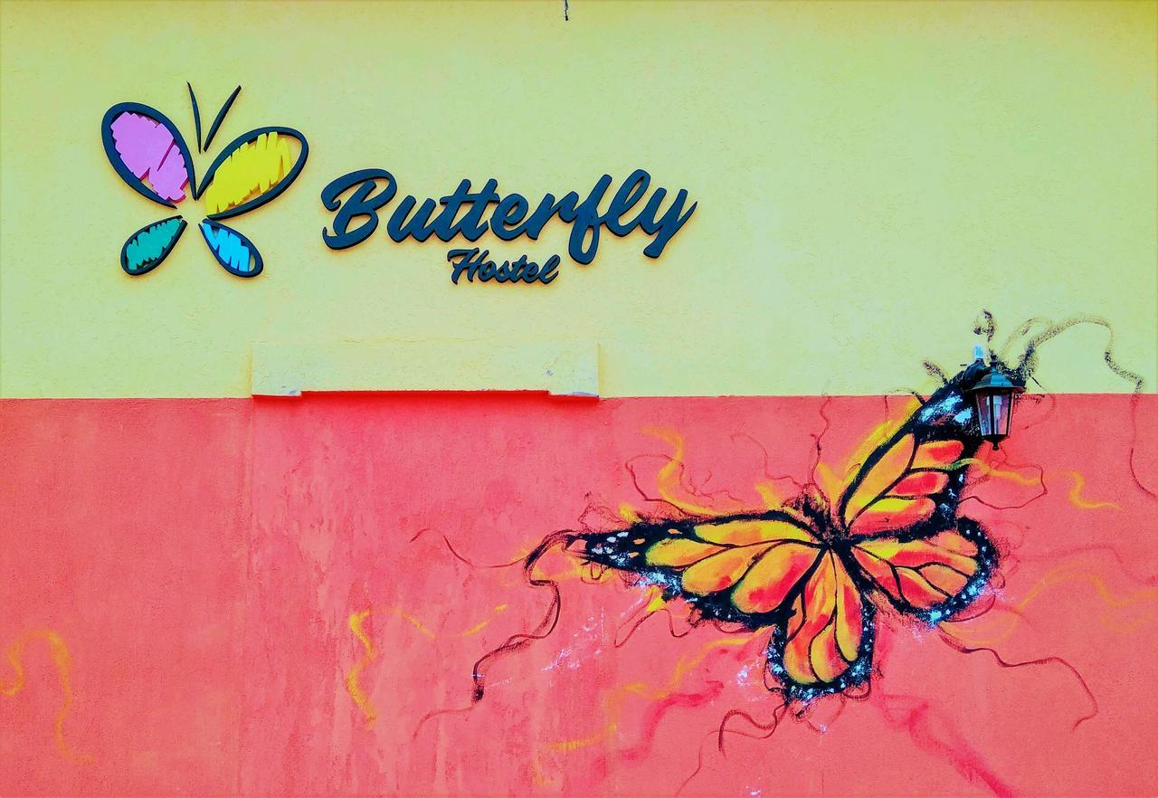 Butterfly Hostel Пуерто-Іґуасу Екстер'єр фото