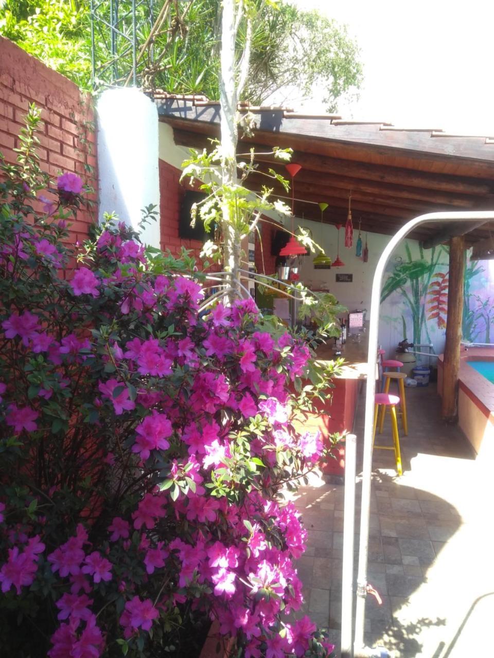 Butterfly Hostel Пуерто-Іґуасу Екстер'єр фото