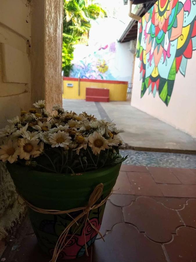Butterfly Hostel Пуерто-Іґуасу Екстер'єр фото